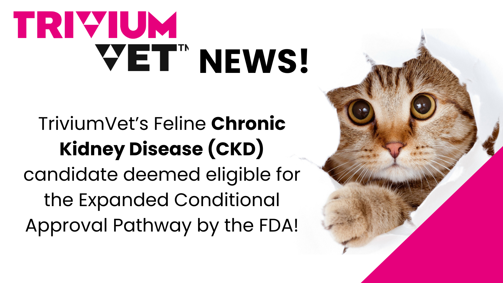 TriviumVet s Feline Chronic Kidney Disease CKD candidate deemed eligible for the Expanded Conditional Approval Pathway by